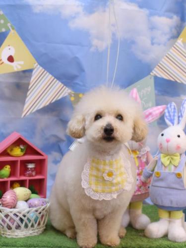 20240326こじろうくん